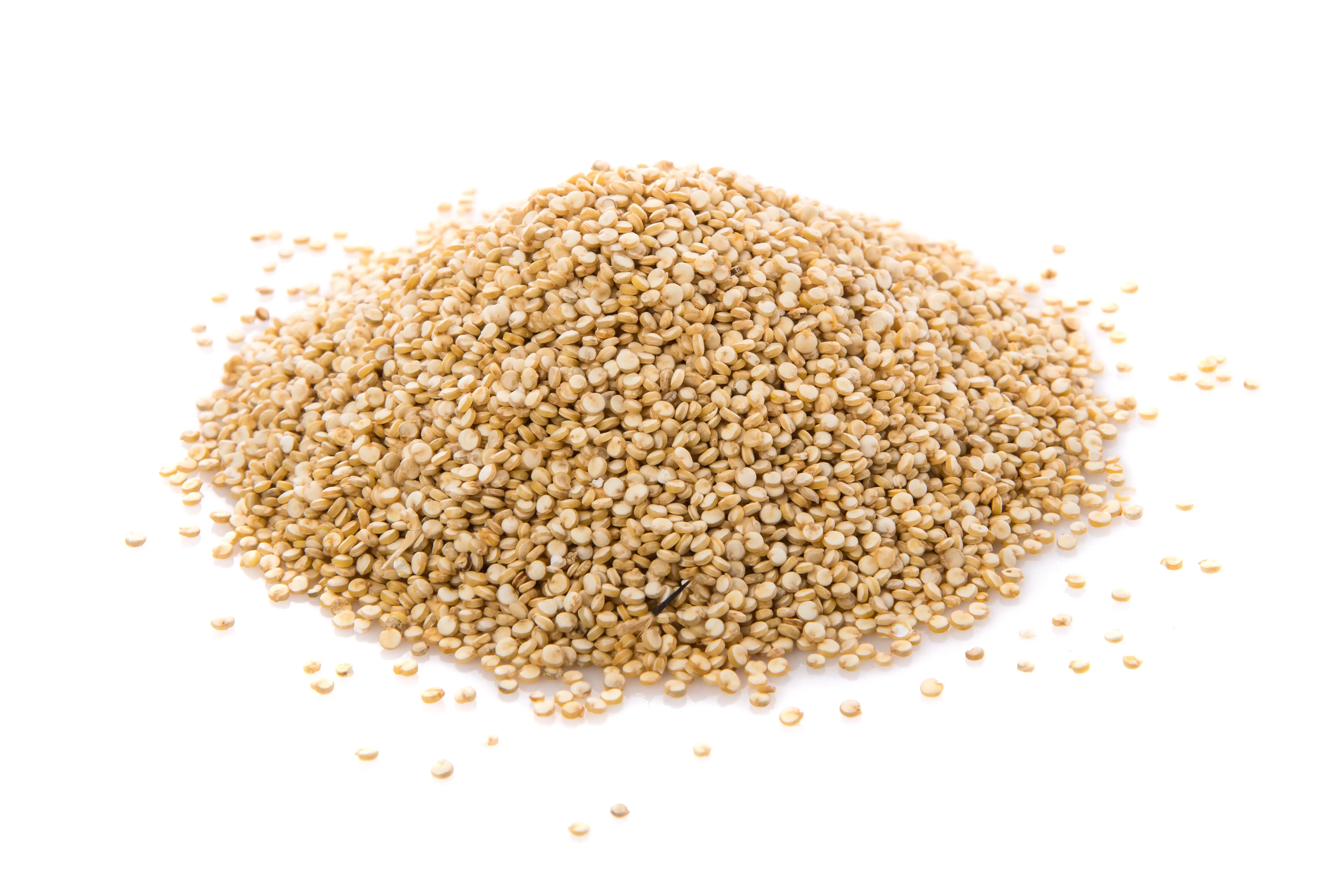 🏷️ 🌾 Why Sesame Seed Is Nigeria’s Hidden Goldmine