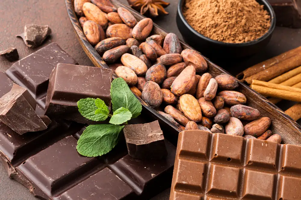 Adapting to the Global Cocoa Market Dynamics