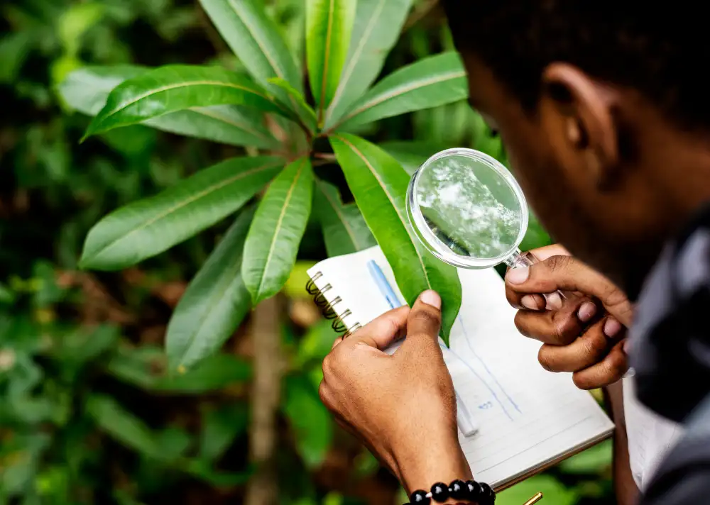 SGS Verification: A New Milestone in Our Commitment to Quality and Traceability